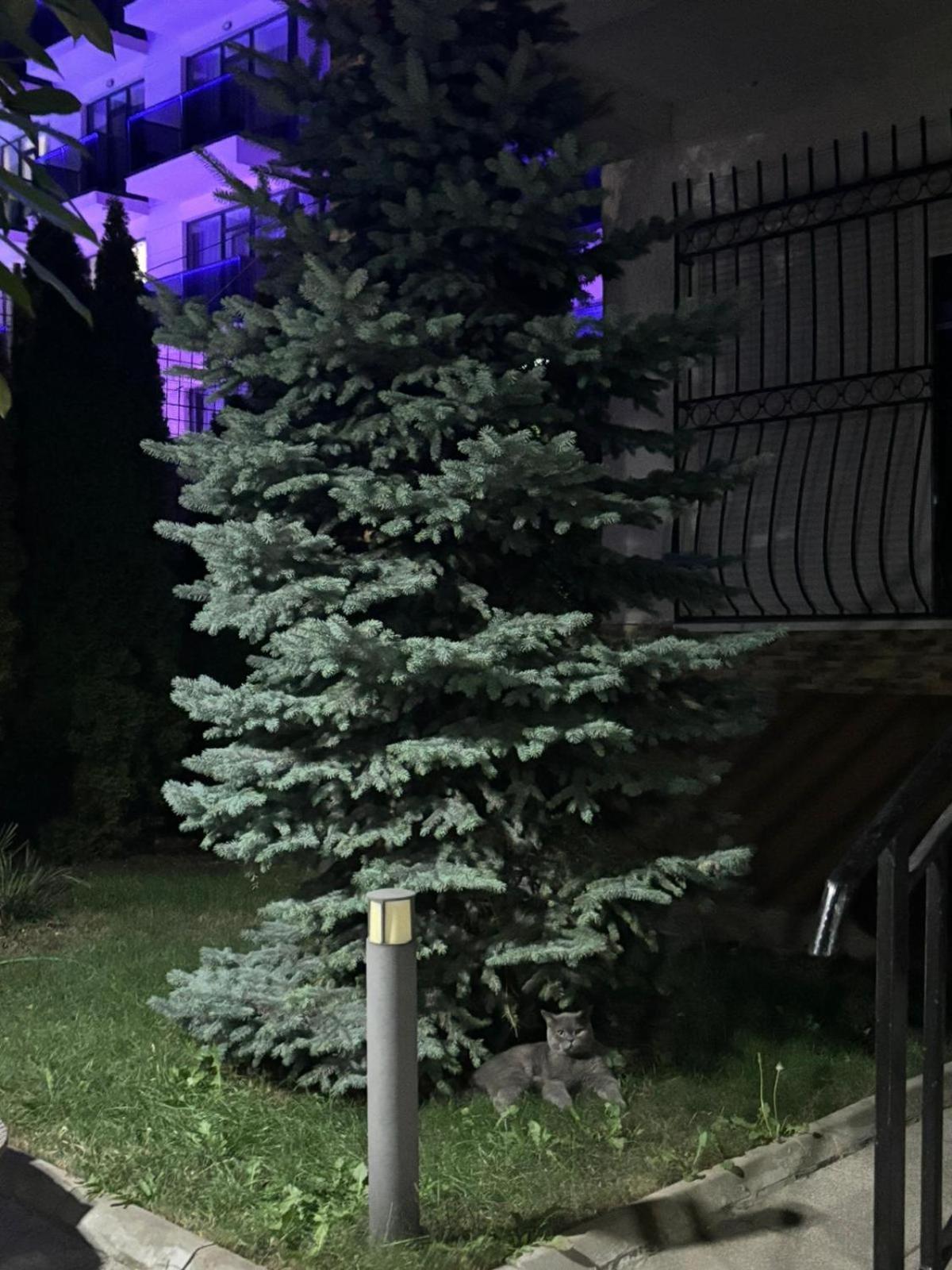 D&H Hotel Năvodari Kültér fotó